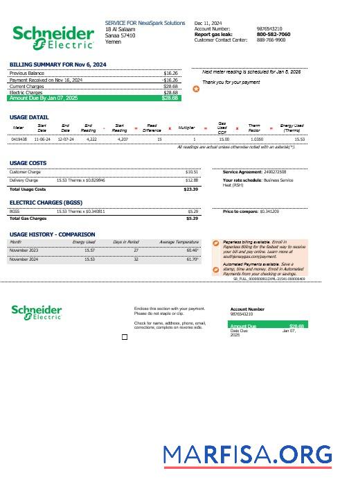 Blank Yemen Schneider Electric business utility bill template in Word and PDF formats